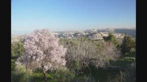 Поклонная гора в Иерусалиме. The Mountain of Joy in Jerusalem