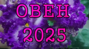ОВЕН таро прогноз на 2025 год по 12 домам гороскопа.