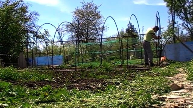 Теплица своими руками!