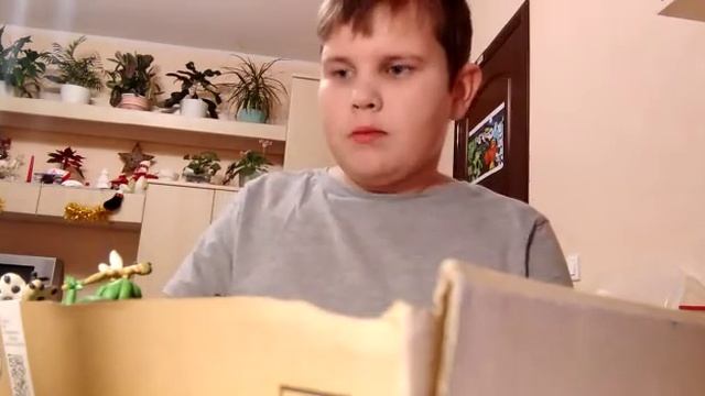 период зарождения насекомых