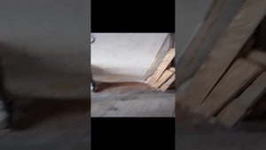 VID_20241214_150055.mp4 обзор пресс-подборщика 1060 Малыш часть№2