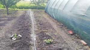 Настройка полива под названием Туман
Переезд на юг