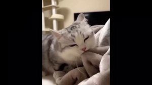 Смешные питомцы #38