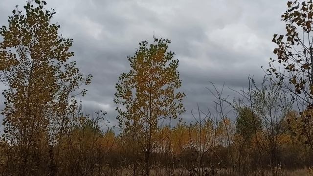 30 ноября народный праздник  День Григория Чудотворца. Что делать нельзя. Народные приметы .