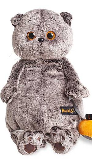 Школьный день Басика.