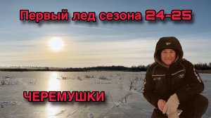 РЫБАЛКА В САМАРСКОЙ ОБЛАСТИ. ПЕРВЫЙ ЛЕД СЕЗОНА 24-25. ВОДОЕМ ЧЕРЕМУШКИ.