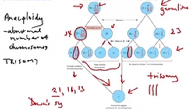 Chromosome Mutations смотреть онлайн