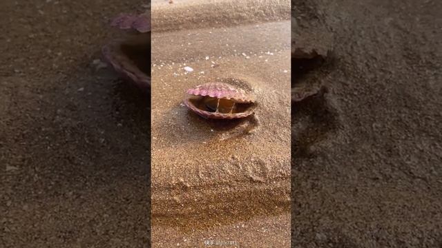 Amazing Fishing! Catching Seafood 🐙 Deep Sea Octopus, Lobster, Crab, Fish, Squid, Shrimp, Starfish смотреть онлайн