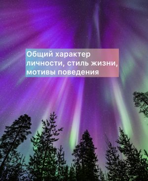 ⚜️Общий характер личности, стиль жизни, мотивы поведения #Диалектики