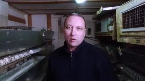 ПЕРЕПЕЛКИНО в ПАРИЖЕ