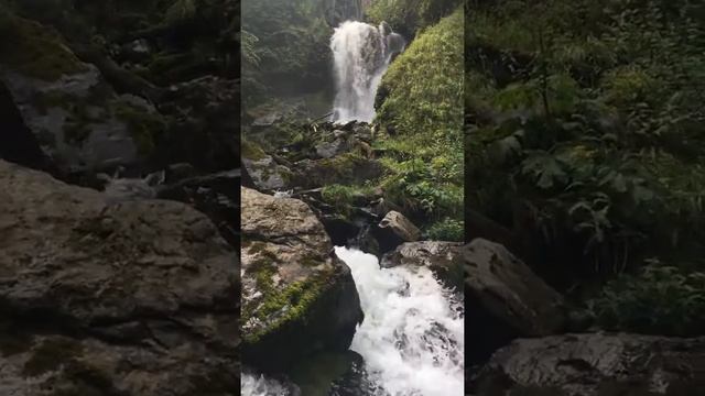 Вода. Исследования ученых. Эрзи. Ингушетия. смотреть онлайн