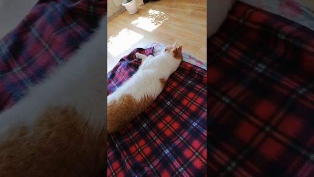 Глава 8я. Про химию 🤪🧬🔬⚗️ смотреть онлайн