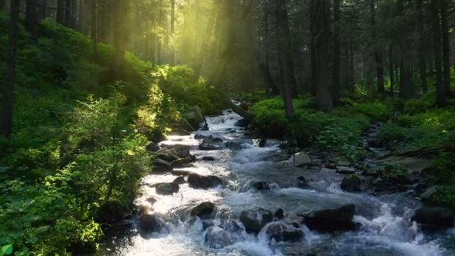 Целебная музыка для сердца и сосудов 🌿 успокаивает нервную систему и радует душу №4