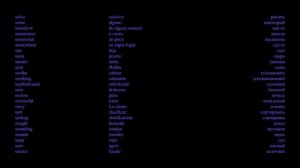 English-Spanish Advanced 19s