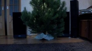 Демонстрация работы усилителя Одиссей У-010-стерео с акустикой Pioneer CS-901