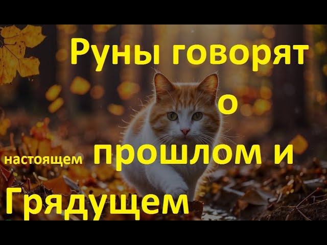 Руническая магия,  мантика онлайн, обсуждаем будущее нашей цивилизации (271024)