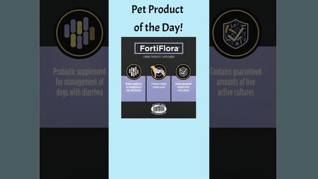 Purina FortiFlora Probiotics for Dogs - Product Review - https://amzn.to/4fe6Xbp смотреть онлайн