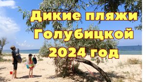 ДИКИЙ ПЛЯЖ ГОЛУБИЦКАЯ АЗОВСКОЕ МОРЕ