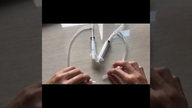 (Instructions) DIY circulatory system for kids