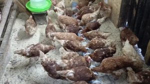 Для кого мой канал