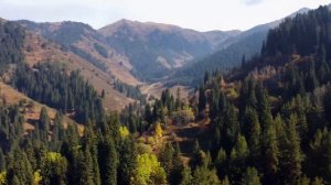 Поход | из х/ф Сибириада (Siberiada OST) | Guitar cover