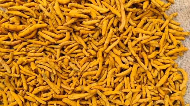 international turmeric Exporting company from India turmeric indianspicyfoods  haldi cúrcuma
