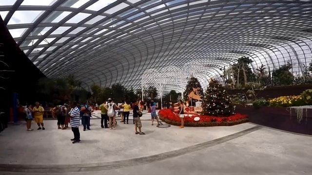 Singapore - Gardens by the Bay 🇸🇬 - Helpful Info for visitors | Singapore Travel Guide - Episode# 1