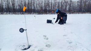 ЛЕСКА ТРЕЩИТ в ПАЛЬЦАХ, ФЛАГИ ГОРЯТ! Рыбалка зимой со льда на жерлицы в 2024-25