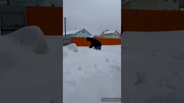 Разнорабочий высшей категории  #рекомендации #юмор #уборка #снег #зима смотреть онлайн