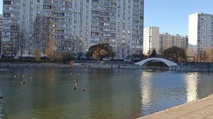 Мысли с утра как жрицы любви на Ленинградском шоссе, ждут чтобы я их подумал.