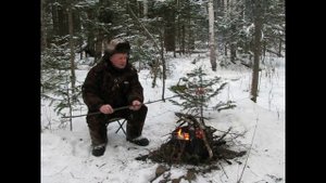 Зимний лес в декабре