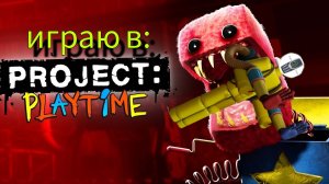 играю в Project Playtime!!!!