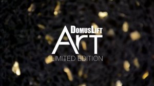 Коттеджный лифт DomusLift Art от IGV