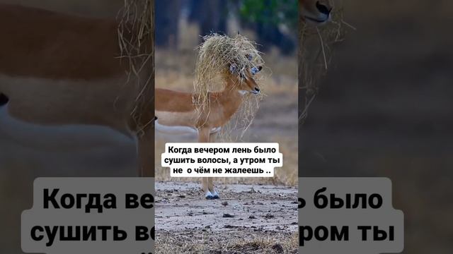 Зато выспалась)