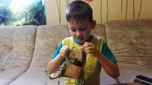 Лягушки МАКСИ обзор коллекции и распаковка FROGS &Co MAXXI Edition