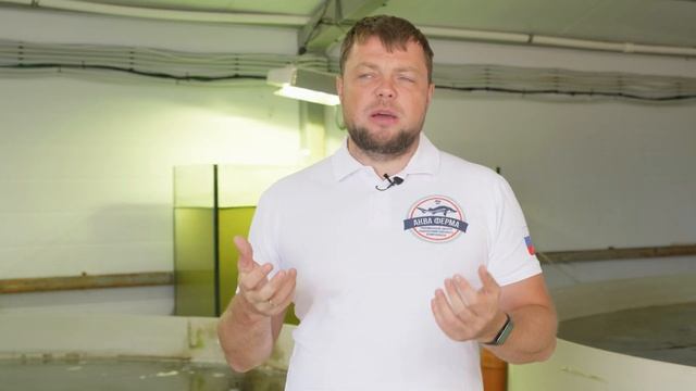 Вольфия - обзор на водное чудо растение
