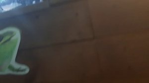 Зоопарк города Екатеринбурга часть 1  15 июня  2023 года