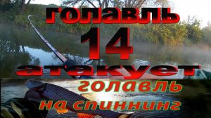 Ловля голавля. Голавль атакует 14. Поклевки голавля на спиннинг.