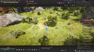 BDO Tamer PVP 13