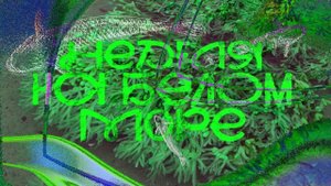 Провели неделю на Белом море в Карелии