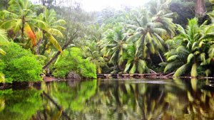 Сейшелы (8 часть). Нац.парк Марен де Сент Анн.