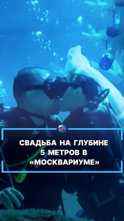 Свадьба на глубине 5 метров в «Москвариуме» #shorts