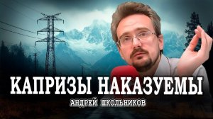 Времена изменились, или Новые условия для выживания | Андрей Школьников (16.12.2024)