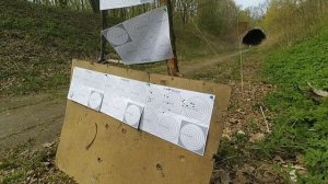 Стрельба по мишени 50м 1.175 5,5