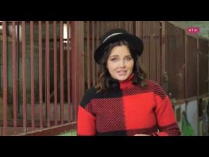 Районы Москвы Восточный Иппотерапия