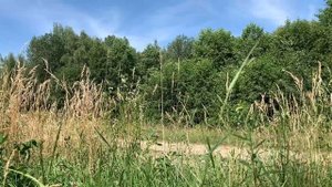 МАЖОР хотел унизить официантку ПРИ ВСЕХ, но она оказалась не простой девушкой а…