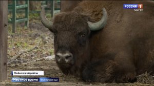 На зимний режим перестраивается вольерный комплекс на кордоне Гузерипль