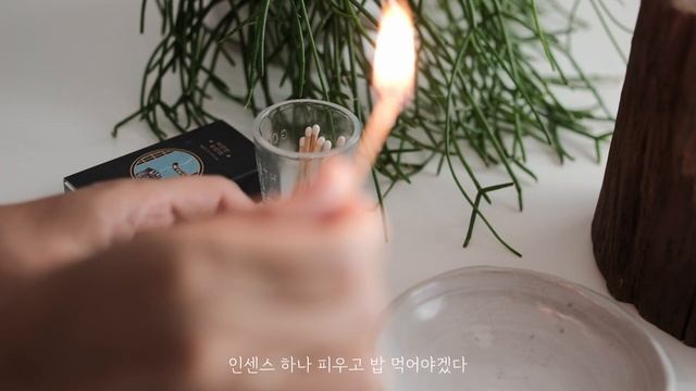 제주 시골마을에 사는 내가 집에서 여름을 보내는 법