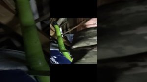 дейво есперо 2.0