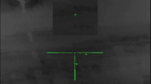 Лиса привада мазанул